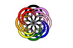 What's with the turtle?