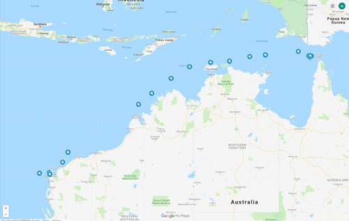 Loggerhead turtle satellite tracking data mapped on Google My Maps