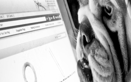 Microsoftexcelactivities Thumbnail