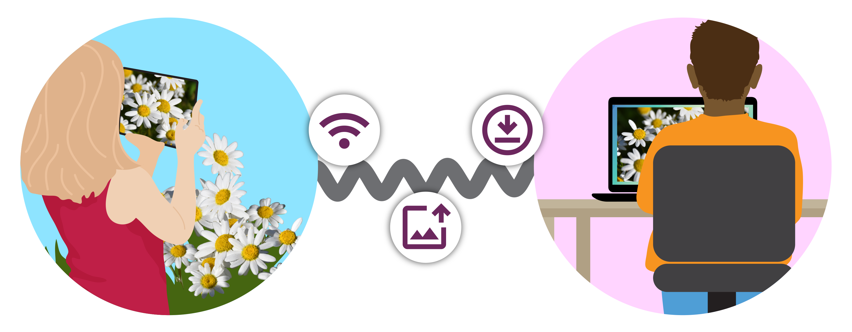 A student takes a photo of flowers with a mobile device and wirelessly transfers the image to a computer. Icons between the devices show wireless connection, image sharing, and downloading.