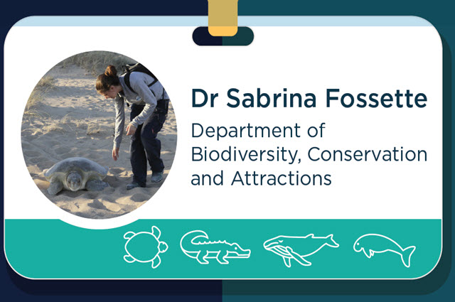 Dr Sabrina Fossette Profile