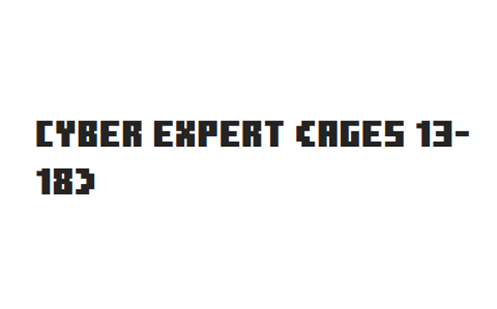 Cyber Expert Ages 13 18 Thumbnail