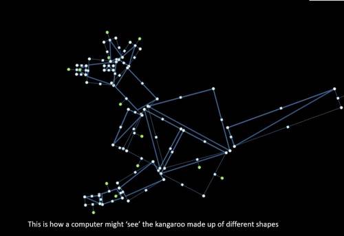 Image of a kangaroo that has been broken down into shapes to represent how AI might view the kangaroo.