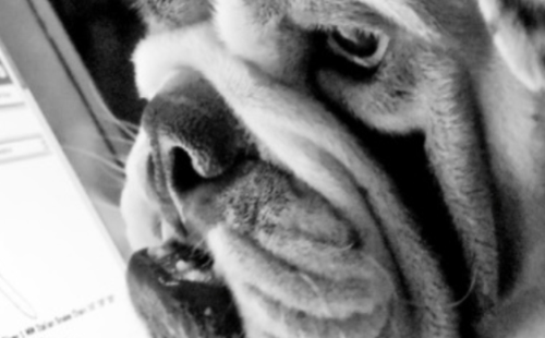 Microsoft Excel Activities Thumbnail