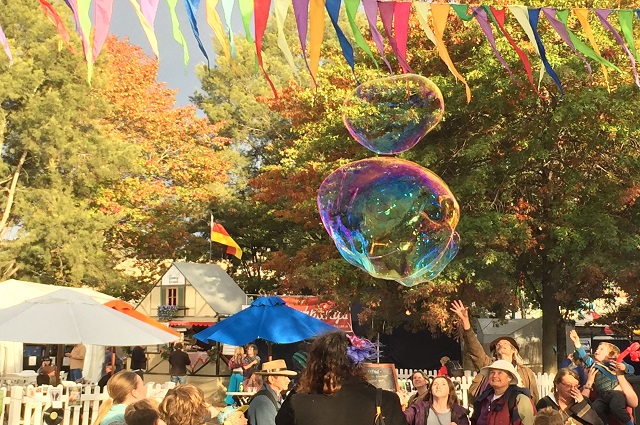 Seeing the big picture 