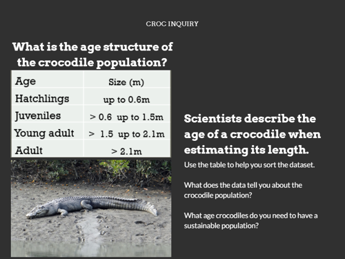 Croc enquiry age structure