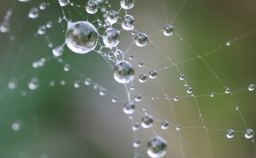 Teaching Web Design With Html And Css Thumbnail