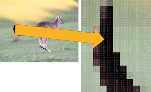 An image of a kangaroo on the left. On the right, the image has been magnified to show the colours of each pixel that make up a component of the image.