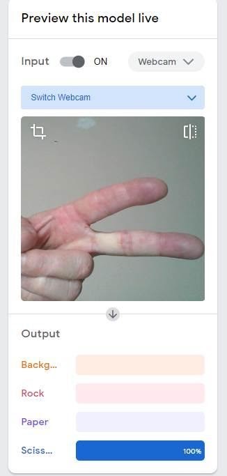 The model is working as expected. The scissors are predicted with 100% confidence