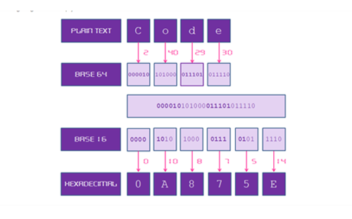 Cryptographic Challenge Base64 To Hex Thumbnail