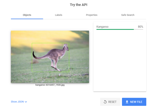 Try the API: An image of a kangaroo
