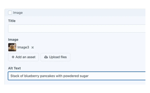 Alt Text Why Its Important For Accessibility And Seo Thumbnail