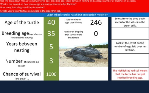 Turtle Population Dynamics Turtle Hatchling Modeller