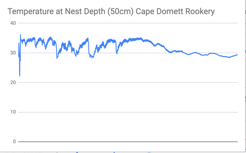 Temperature Cape Dromett Rookery