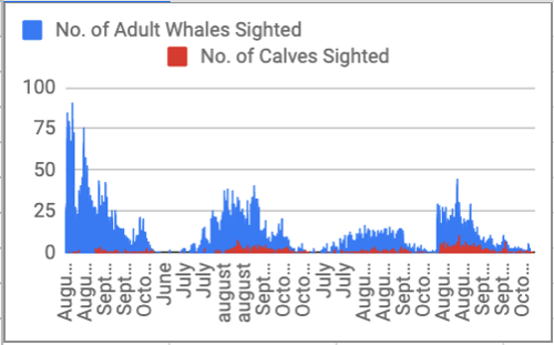 Humpback Whales Bar Chart Adult And Calves Sighted, by month