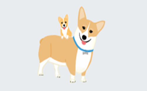Corgis Thumbnail