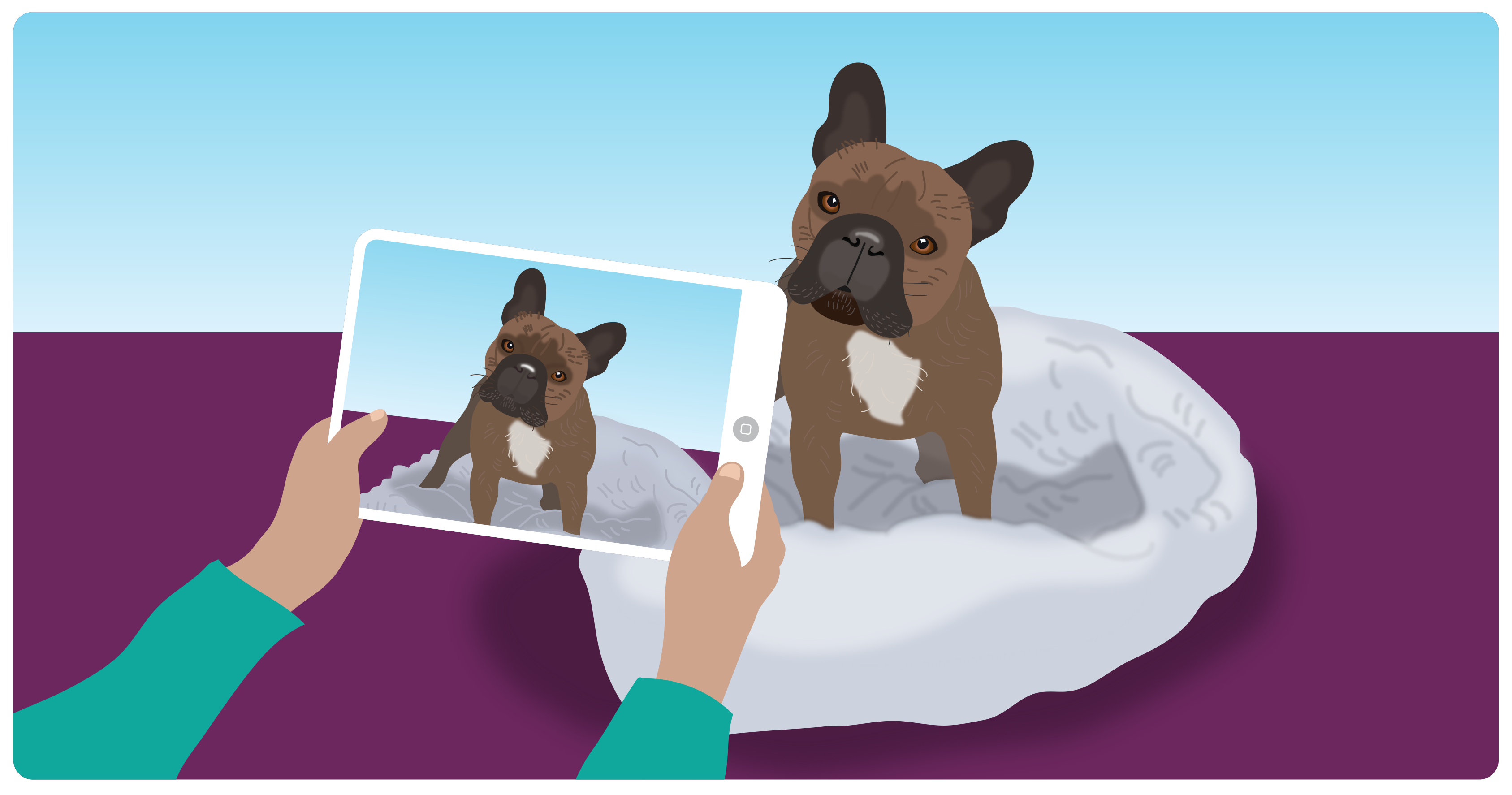 A dog sits on a white cushion while a student holds a tablet showing taking a photo of the dog.